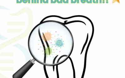 Bad Breath and Gum Disease: How Oral Bacteria Cause Halitosis