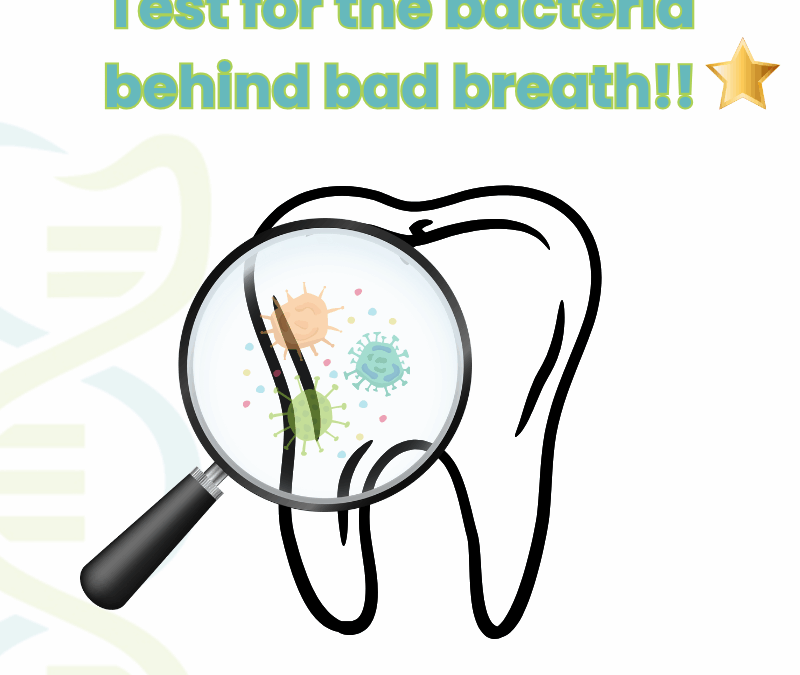 Bad Breath and Gum Disease: How Oral Bacteria Cause Halitosis