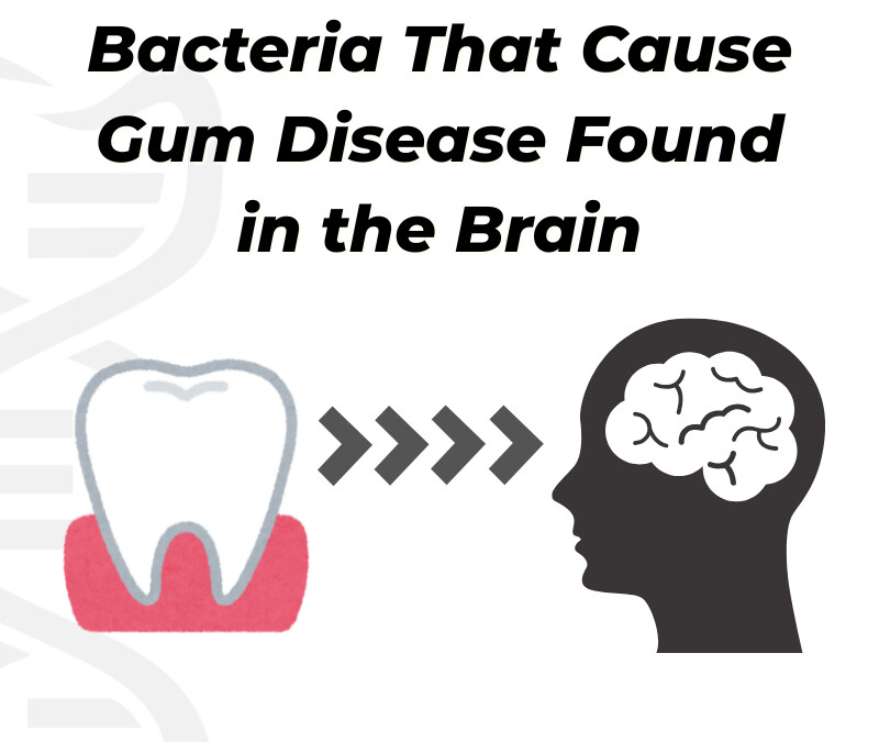 Oral Bacteria Linked to Alzheimer’s Disease: Understanding the Role of Porphyromonas gingivalis