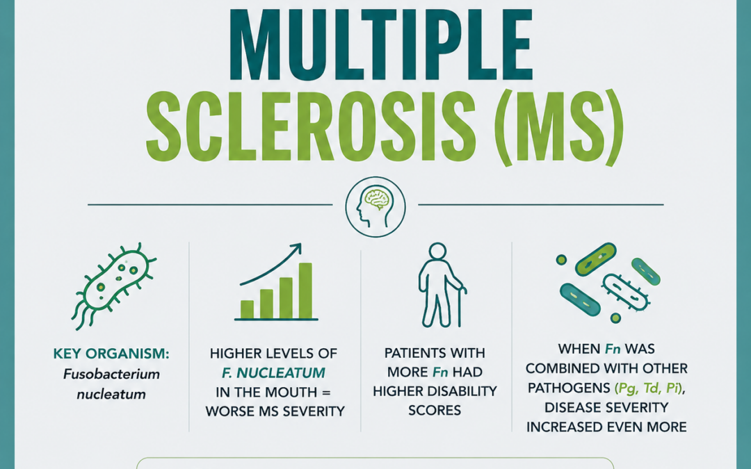 Multiple Sclerosis and Oral Bacteria: What the Research Is Showing