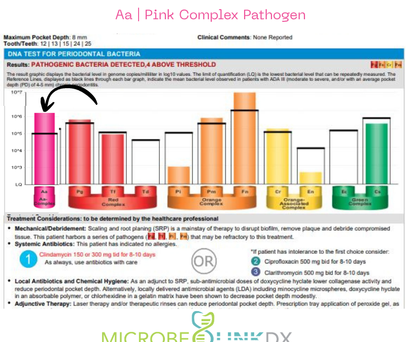 Aggregatibacter actinomycetemcomitans (Aa): The Wrecking Ball