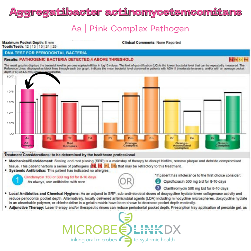 Aggregatibacteractinomycetemcomitans (Aa) Pink Complex Pathogen