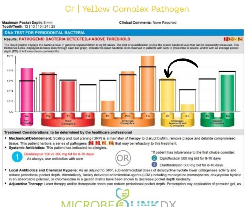 Campylobacter rectus (Cr): The Persistent Mover