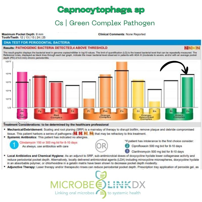 capnocytophaga-cs-green-complex-pathogen