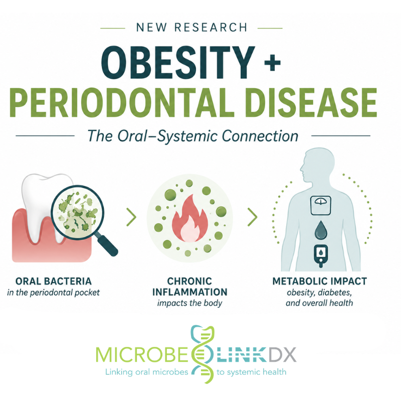 Obesity and periodontal disease research linking oral bacteria, chronic inflammation and metabolic health