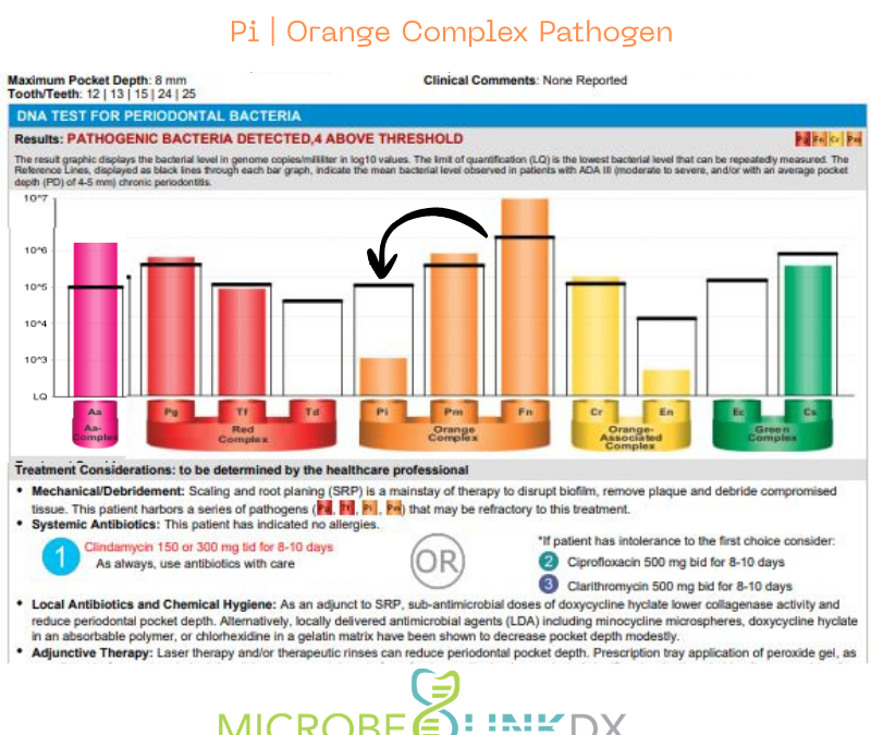 Prevotella intermedia (Pi): The Hormone-Sensitive Inflamer