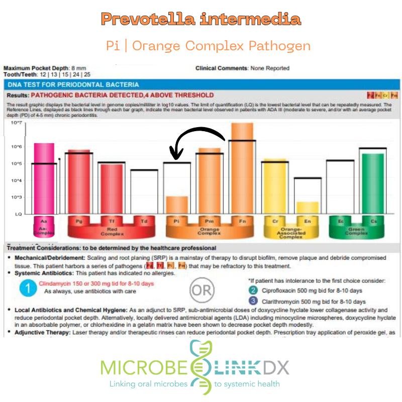 Prevotella intermedia (Pi), an orange complex periodontal pathogen included in MicrobeLinkDx bacterial testing